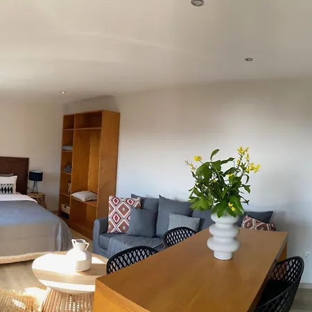 Guest house In - Cactus Suberb With Private Pool Achladies (Skiathos)