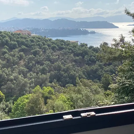 In - Cactus Suberb With Private Pool Achladies (Skiathos)